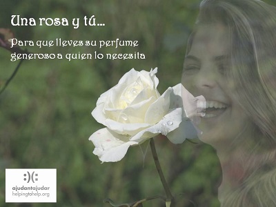 «Una rosa y tú». En memoria de Marta